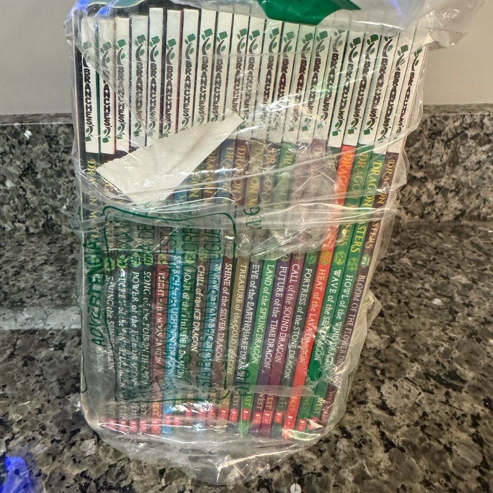 Dragon Masters Book Set